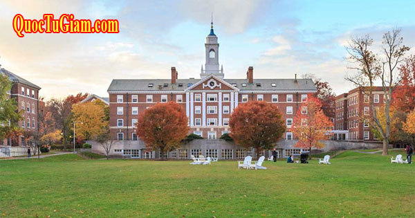 Trường Đại Hoc Havard, Mỹ đứng đầu danh sách Top 11 đại học sản sinh nhiều tỷ phú nhất